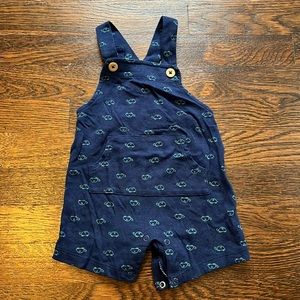 Turtle Overalls for Infants